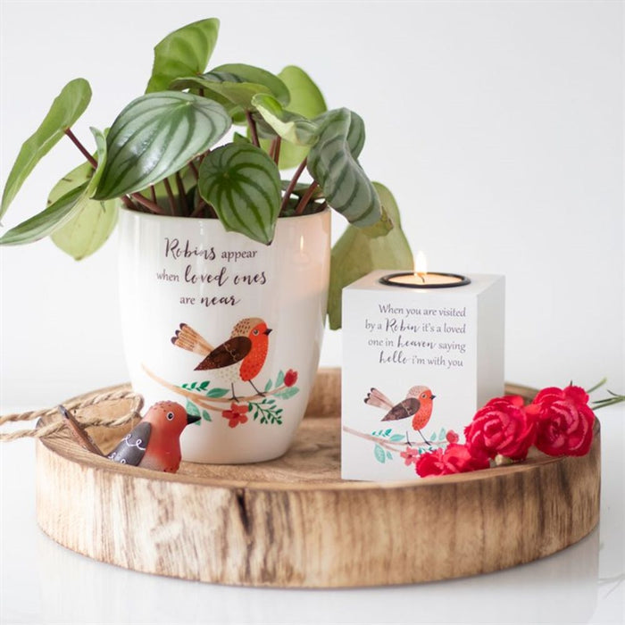 Winter Robin Ceramic Plant Pot - The Gift Cabin UK