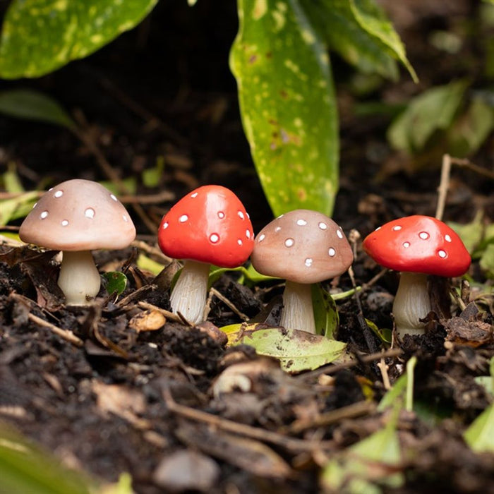 Set of 4 Mini Mushroom Plant Pot Pals - The Gift Cabin UK