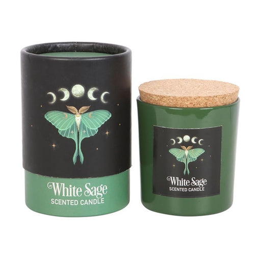 Luna Moth White Sage Candle - The Gift Cabin UK