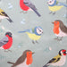 British Garden Birds Cotton Apron - The Gift Cabin UK