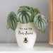 You Are the Bees Knees Ceramic Plant Pot - The Gift Cabin UK